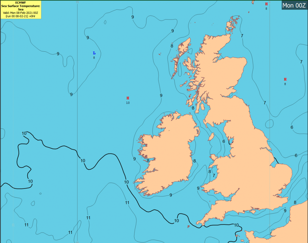 Fig 1: ECMWF Sea Surface Temperature forecast for Monday 00UTC February 8th 2021