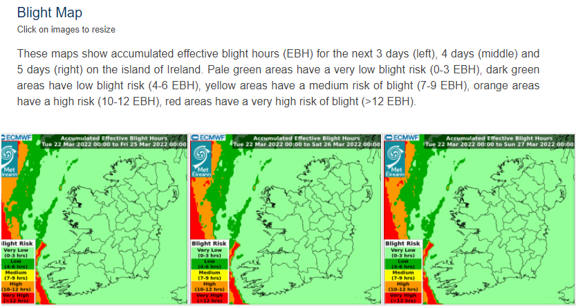 Figure 1: Screenshot of the Met Éireann website with no blight on land, but warm, moist weather developing offshore. See today's blight risk here: https://www.met.ie/forecasts/blight-forecast 