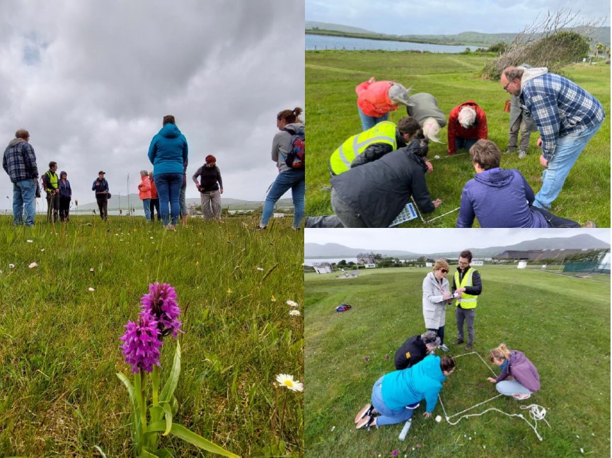 Figure 12. Biodiversity day at Valentia Meteorological Observatory. The LIVE team introduces the meadow project to members of the local community. Locals take part in biodiversity surveys of the site. Thank you, Linda Lyne and Aoibheann Lambe for taking these fab photos!