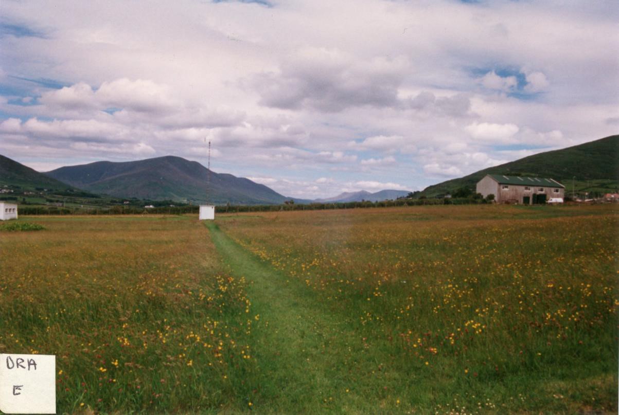 Figure 3. A photograph of meadows growing at Valentia Meteorological Observatory in the 1980s. Thanks to the Observatory staff for rooting these out of the archives for us!