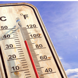 Updated: New August Temperature Record Set Two Days Running