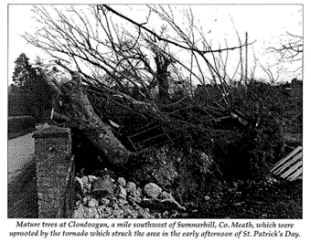 Fig. 3 – Some damage provoked by the tornado on March 17th 1995