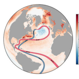 AMOC Research in Ireland: Gaps, Opportunities, and Future Directions  
