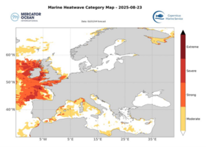 Example of Marine heatwave in August 2025, Copernicus Marine Service. ‘Severe’ and ‘extreme’ sea surface temperatures can be seen on the coasts around Ireland.
