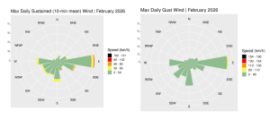 Wind roses for February 2026, sustained 10-min mean and gust.