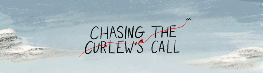 Banner with title 'chasing the curlew's call'