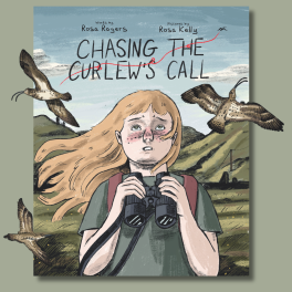 UCC and Met Éireann to launch graphic novel exploring climate change