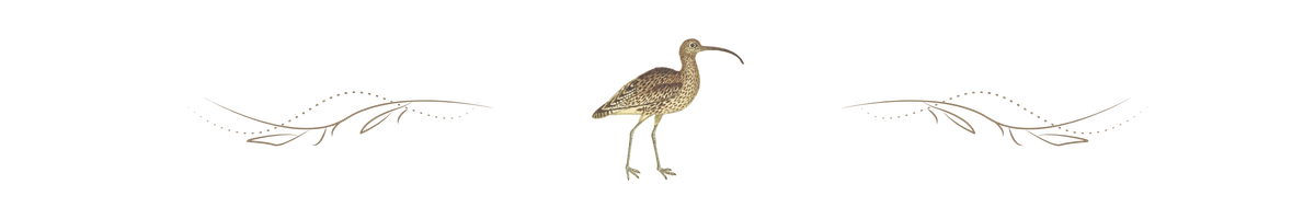 decorative curlew divider